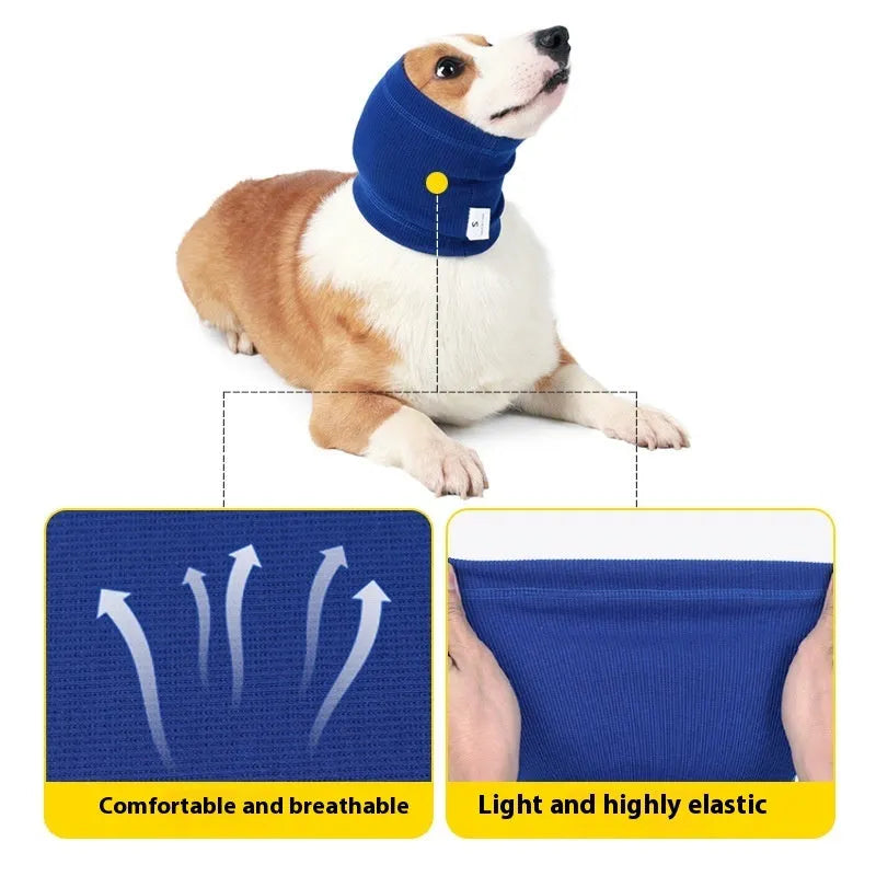 A blue polyester headband scarf for a dog, shown in a casual style.