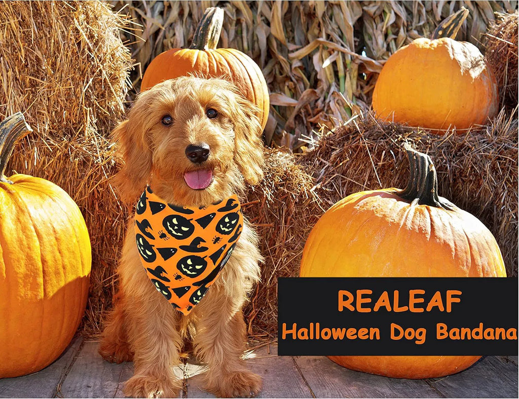Black and orange reversible Halloween dog bandana with pumpkin and spider web patterns, showing adjustable neck strap.