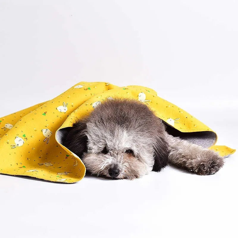 Colourful double-sided pet blanket with dinosaur and cartoon bear patterns on cotton velvet.