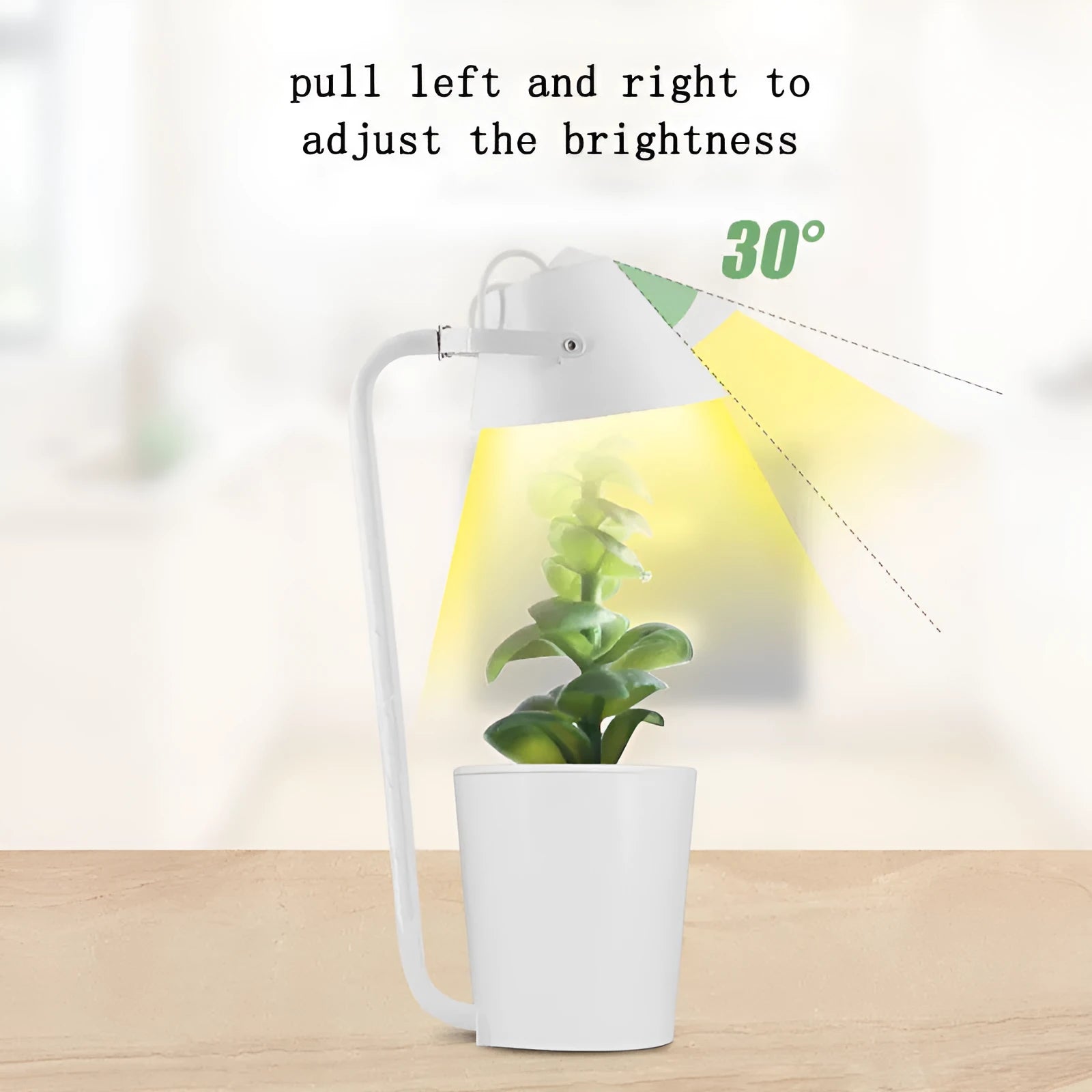 White plastic desktop hydroponic growing container for soilless plant cultivation.