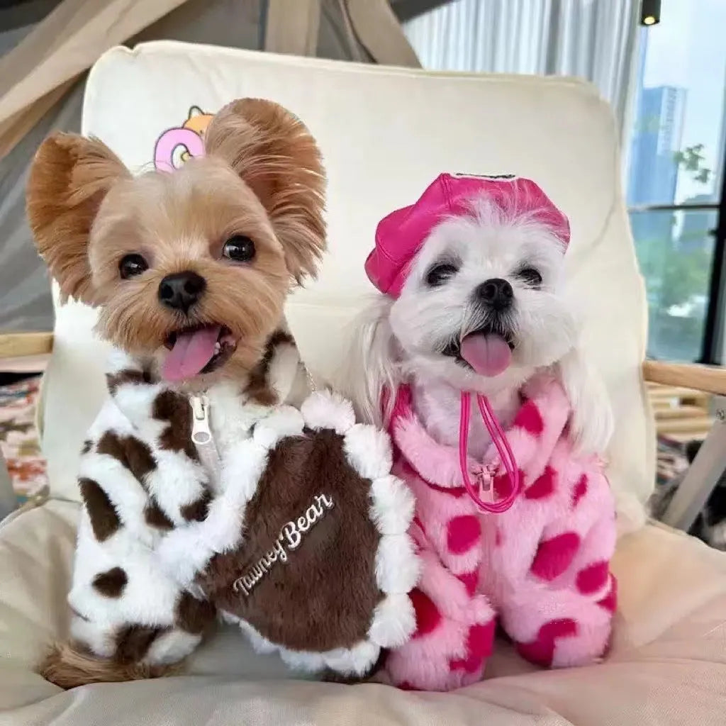Small dog wearing a pink or brown plush warm coat in British style for Teddy and Bichon breeds