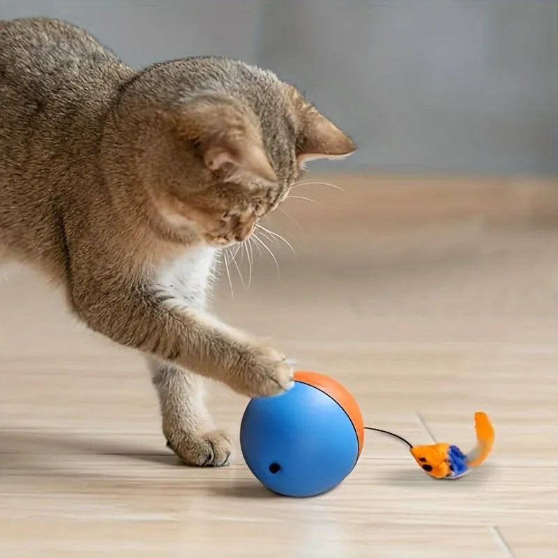 Interactive cat toy ball with plush mouse attachment in blue and orange colours