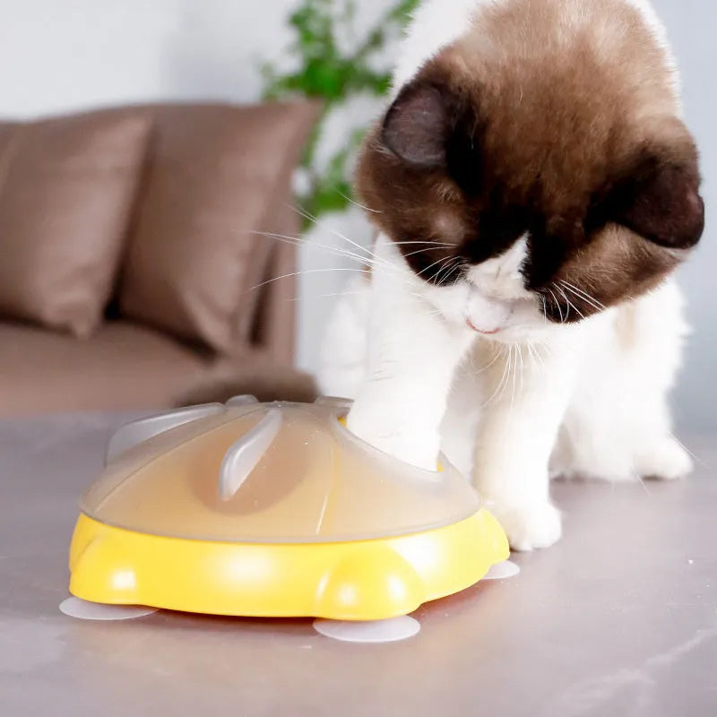 Yellow cat snack bowl puzzle plate with compartments for kibble and treats
