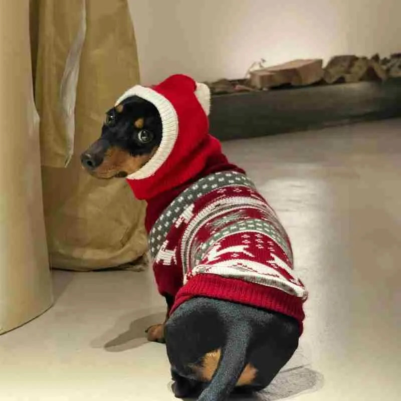 Warm plush dachshund hat in Red Riding Hood style with matching scarf on a dog