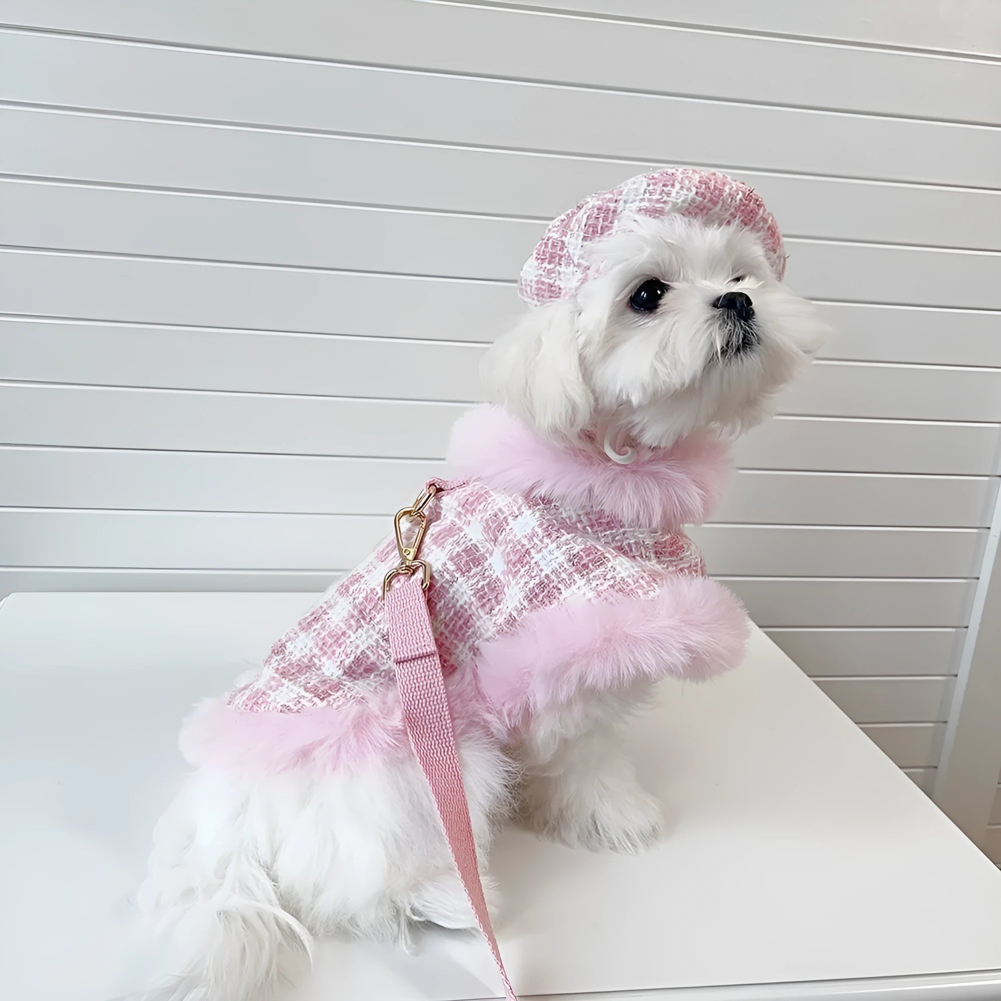 Pink polyester cat cloak with traction rope and matching beret for female pets