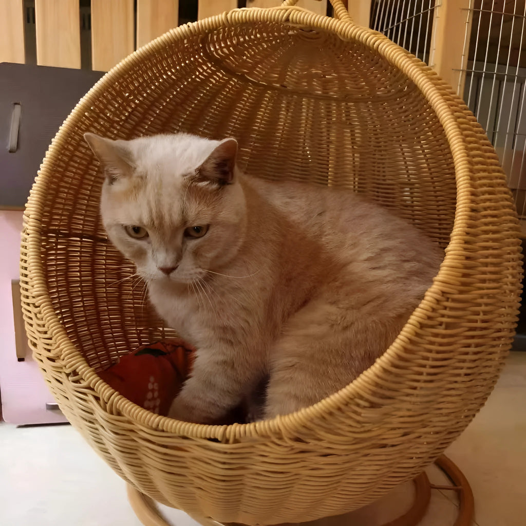 Beige rattan hanging cat basket with orange mat, ball diameter 42 cm, for large cats up to 16 kg