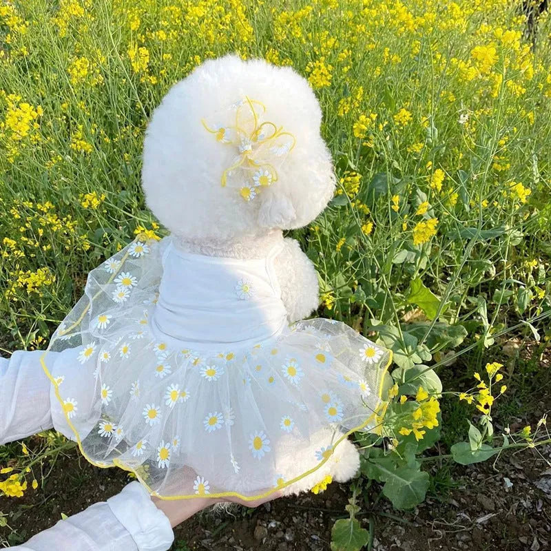 Yellow daisy pattern dog clothes for summer in thin polyester fabric