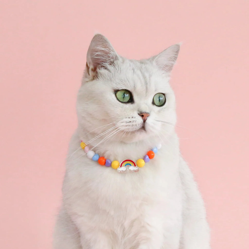 Colourful plastic pearl bead pet necklace with small flower pattern on adjustable strap