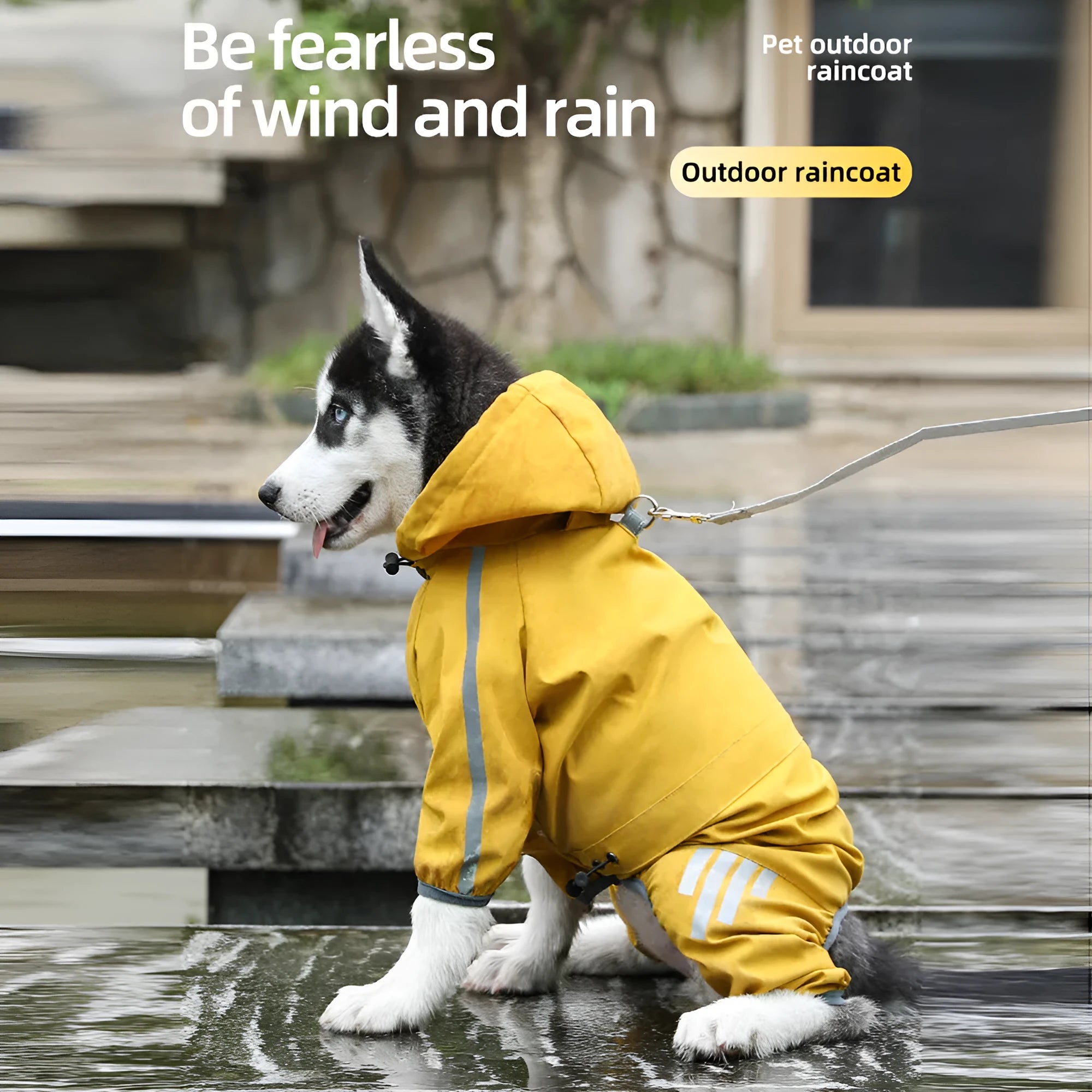 Waterproof dog raincoat with hood, reflective strips, and four-leg design on a small dog