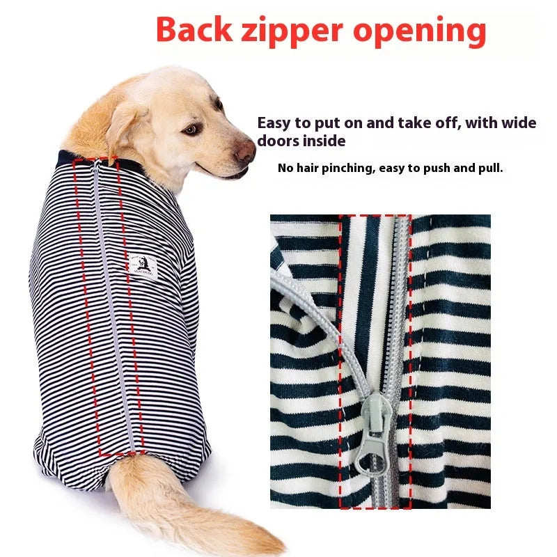 Four-legged striped dog shirt on golden retriever in sky blue colour