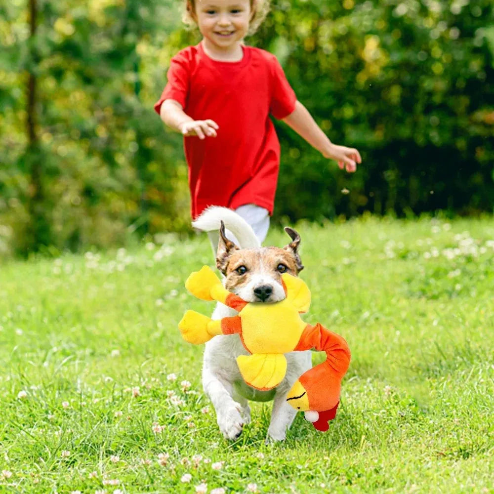 Screaming chicken sound dog chew toy in bite-resistant rubber, black green orange colours