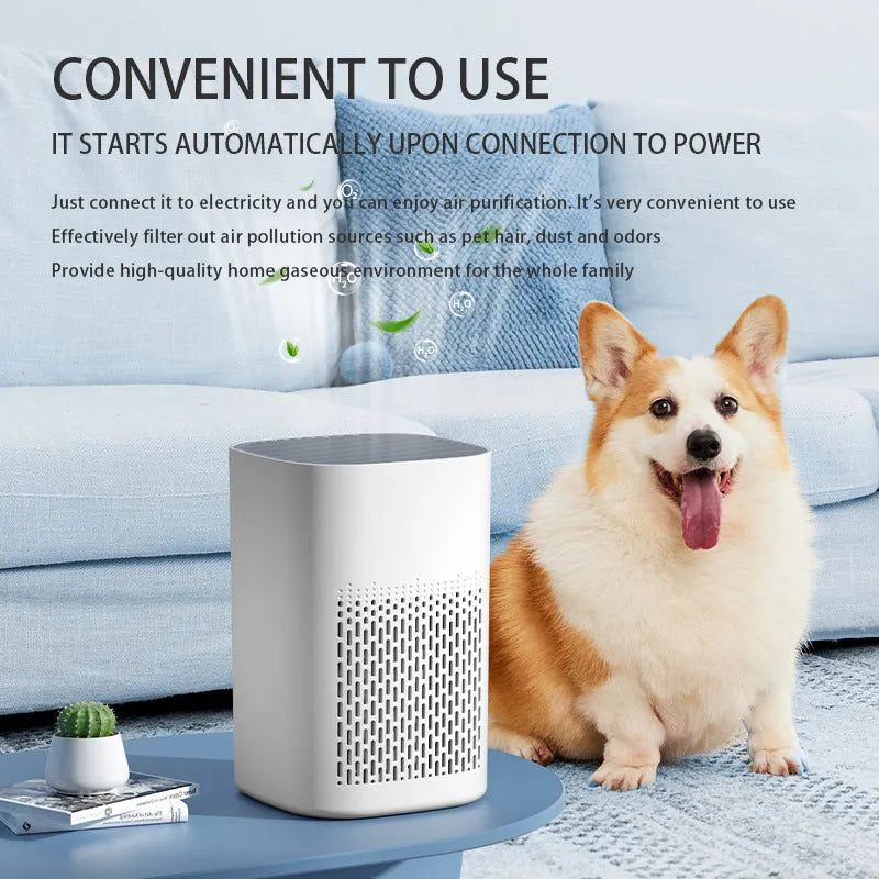 Simple style desktop air purifier and heater unit with USB power cable