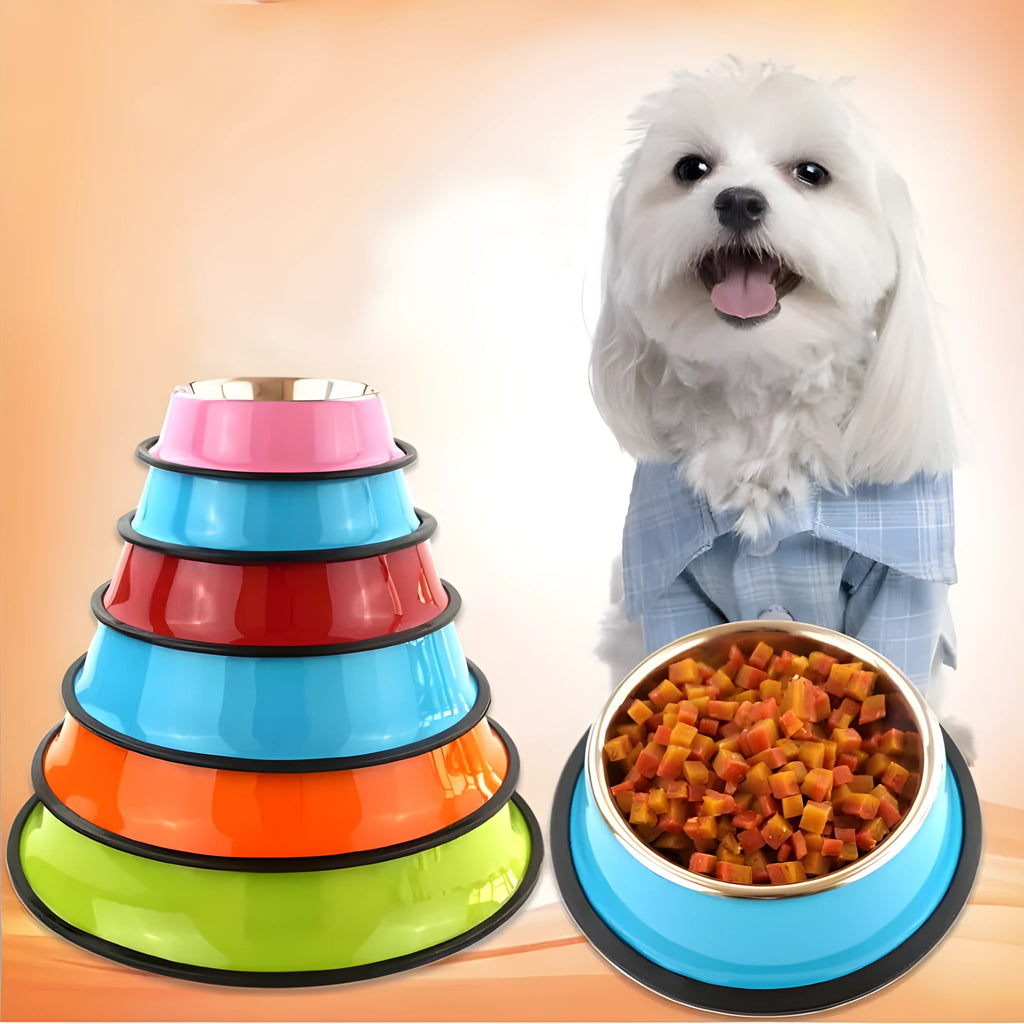 Dual-part stainless steel and melamine pet bowl with non-slip silicone base in assorted colours