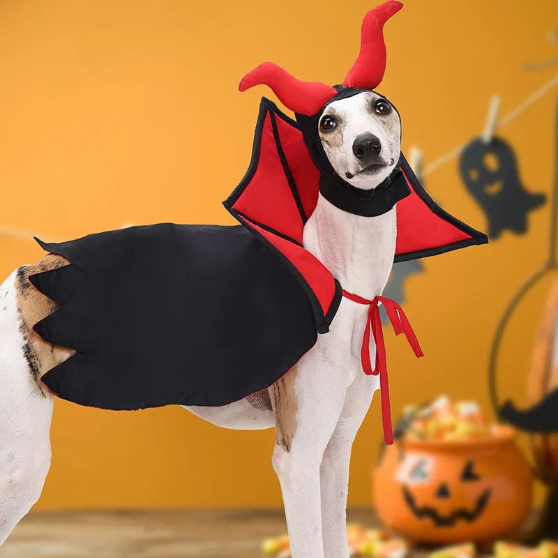 Black polyester vampire cloak and hat costume set for pets on Halloween