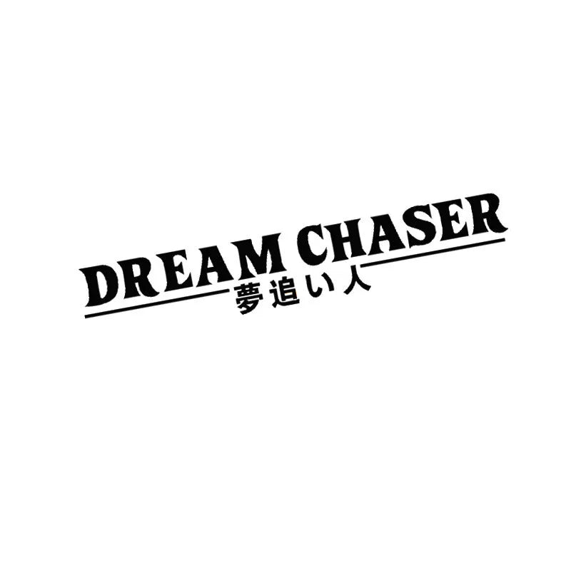 Dream Chaser design car rear window sticker in seven colour options on PET material