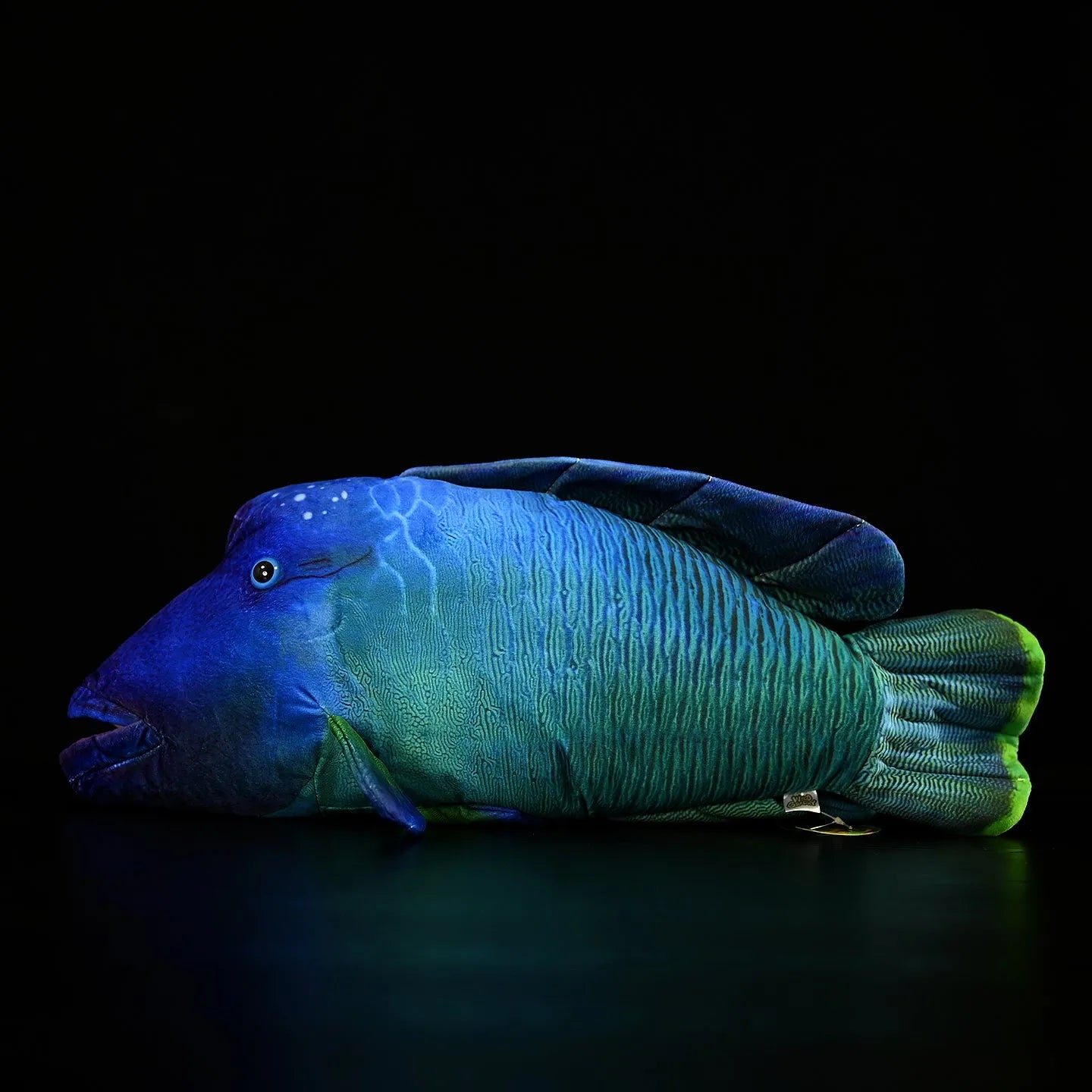 Green realistic printed sunfish plush toy with wavy lips, 55cm length, soft plush material