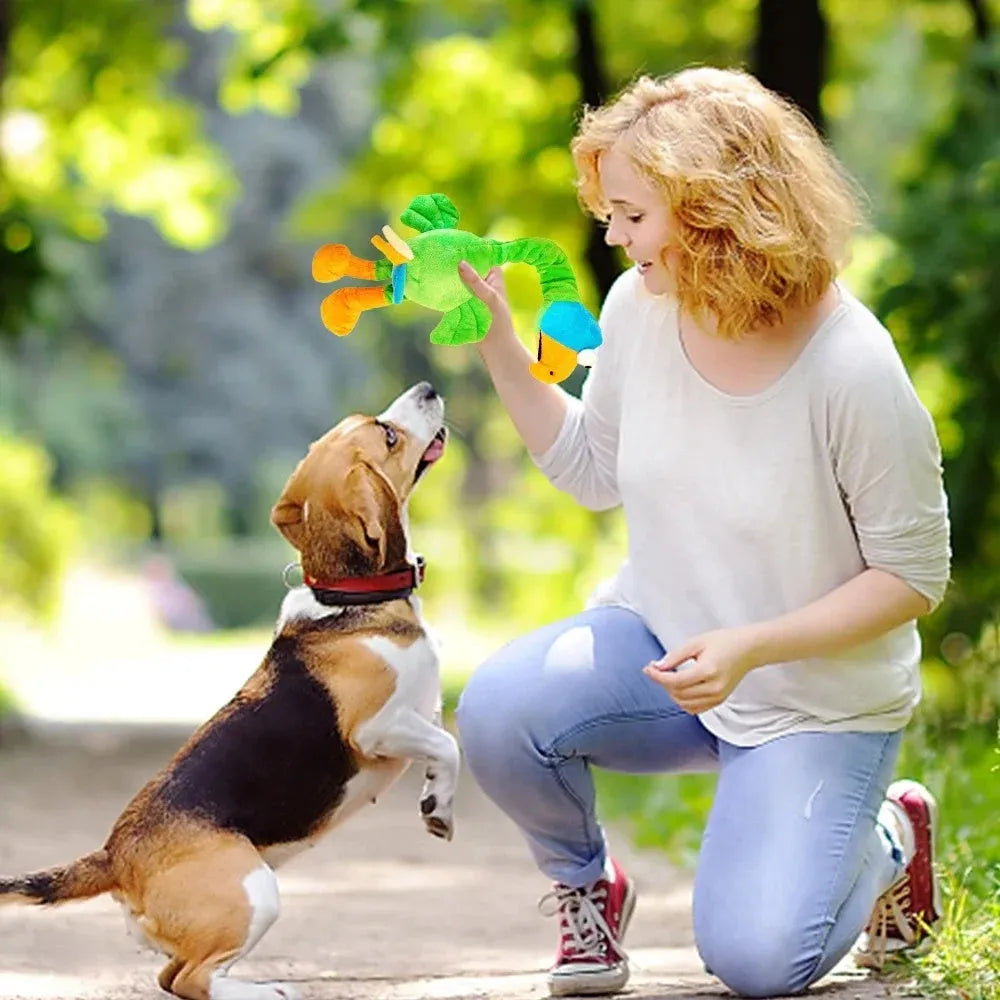 Screaming chicken sound dog chew toy in bite-resistant rubber, black green orange colours