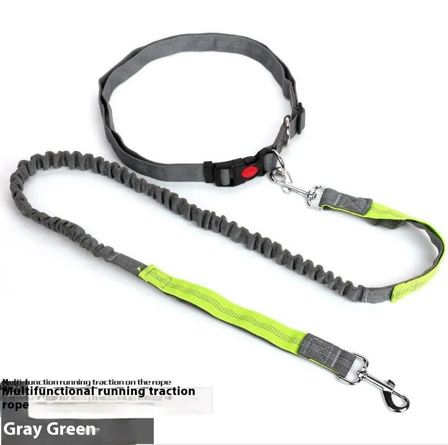Reflective nylon dog leash with elastic sling grip in blue and red colour combination