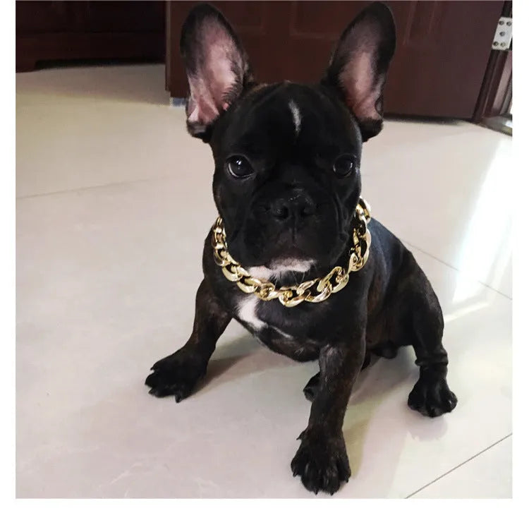 Gold chain dog collar necklace with a geometric buckle on a small dog