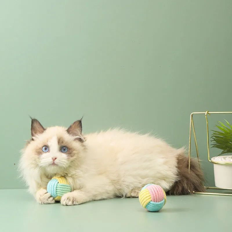 Handmade cat hair ball plush cotton toy in blue powder, green blue, or pink green colours measuring 5cm diameter