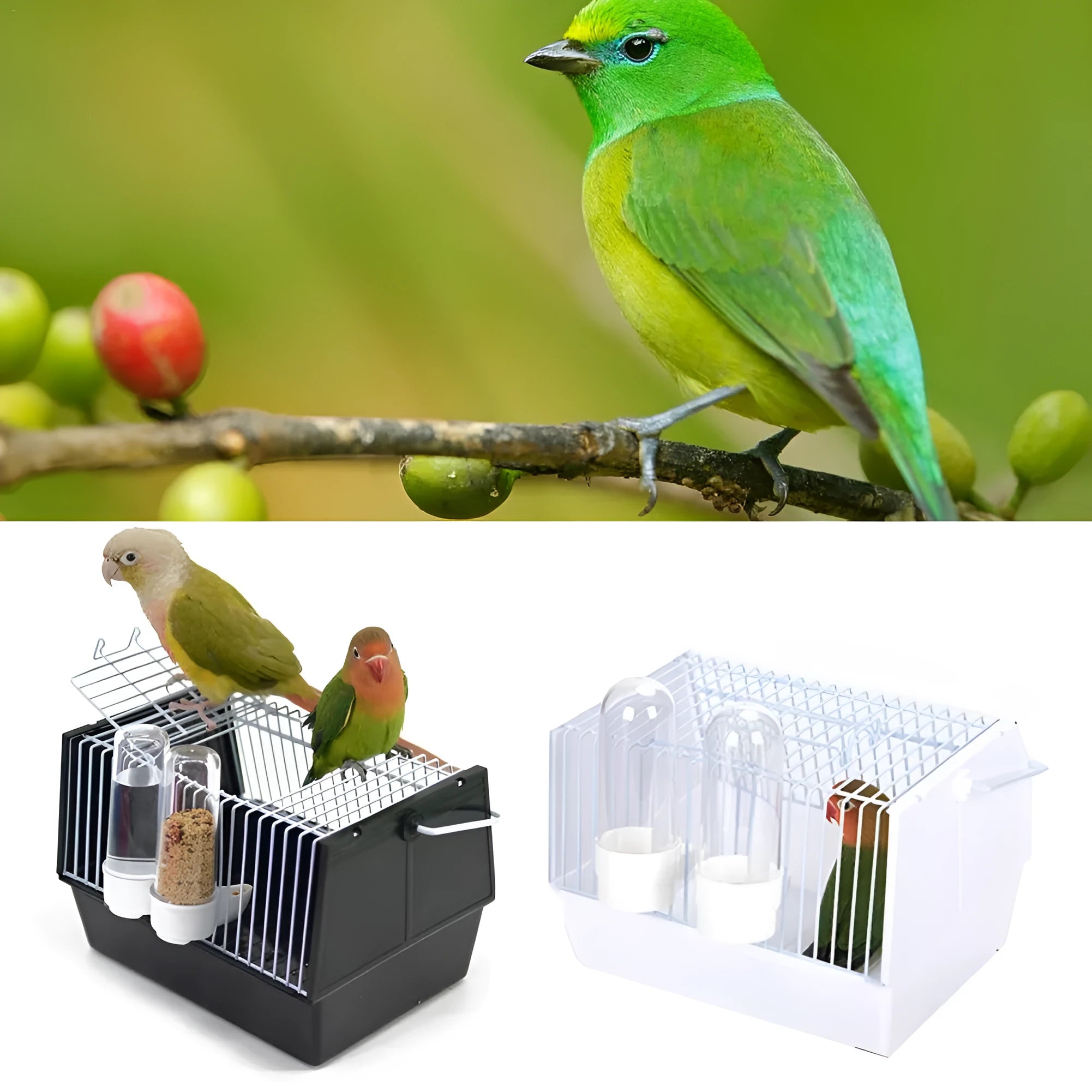 Small portable bird travel cage in black with top skylight and two feeders, 21 x 13 x 13 cm