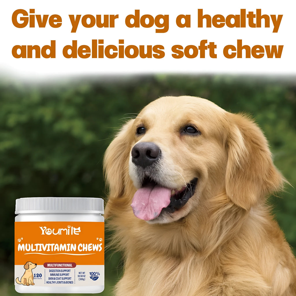 Pet vitamin multifunctional health care supplement for dogs 300g net content in OEM flavour