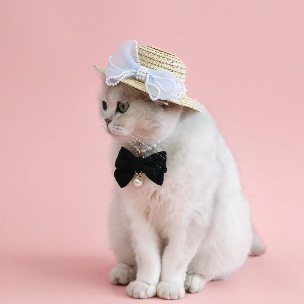 Woven Lafite leaf cat hat with pearl butterfly bow on a pink background, showing S and M size options.