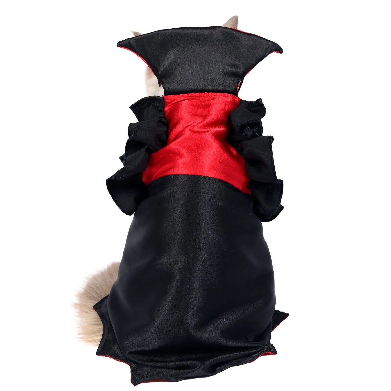 Cat wearing black and red vampire Halloween costume, two-legged style with polyester spandex fabric