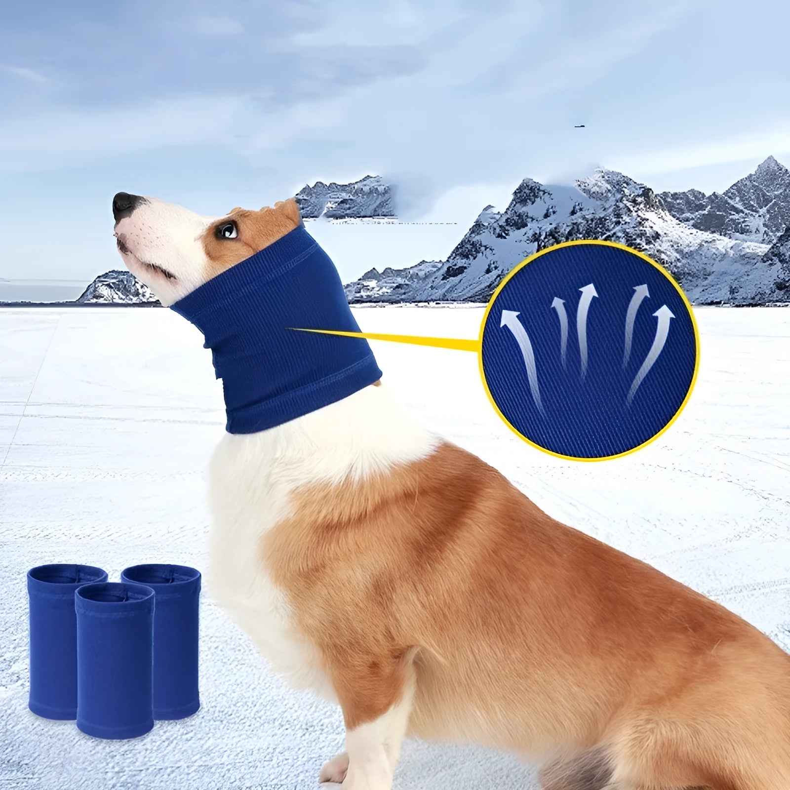 A blue polyester headband scarf for a dog, shown in a casual style.