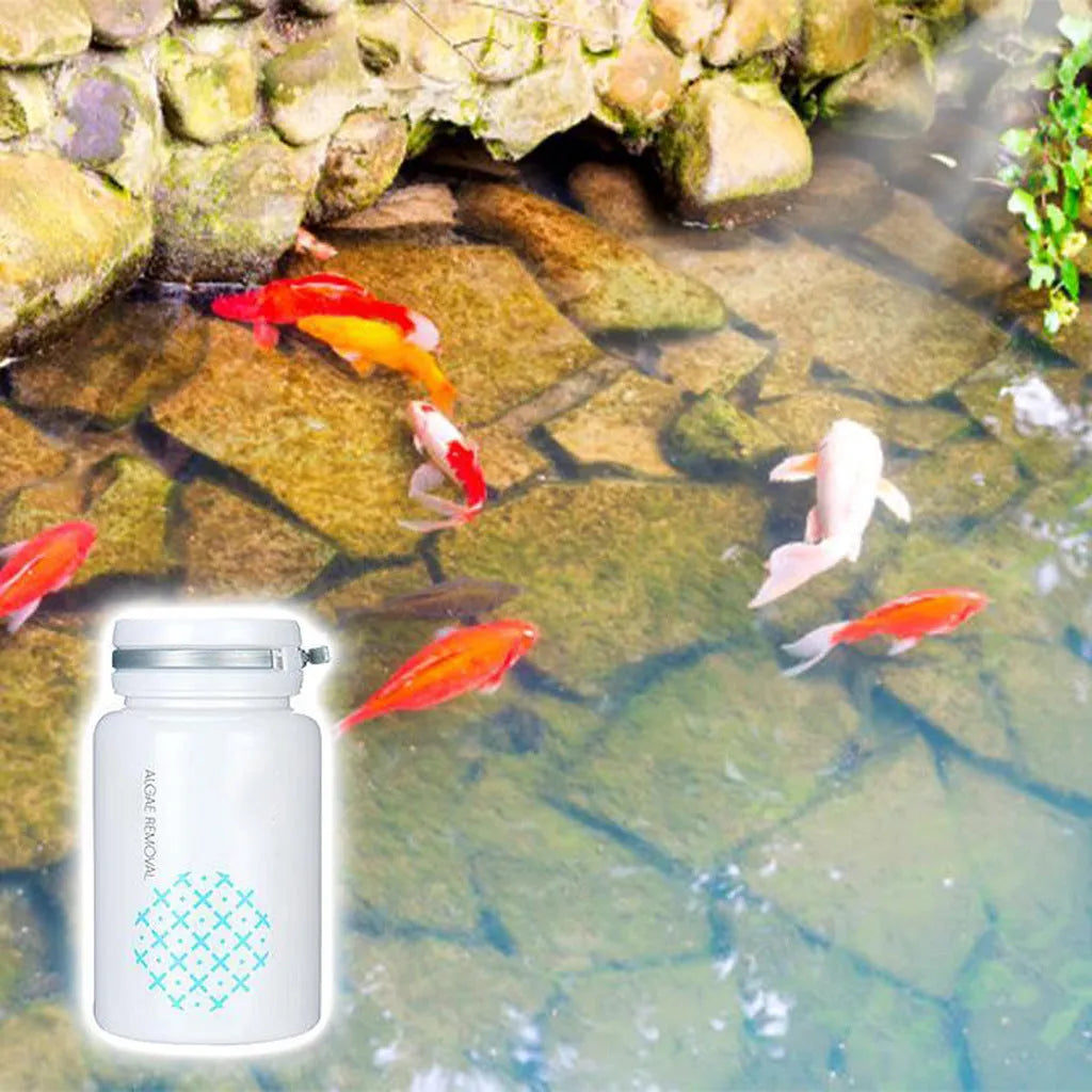 50g swimming pool algaecide treatment for algae removal and moss prevention