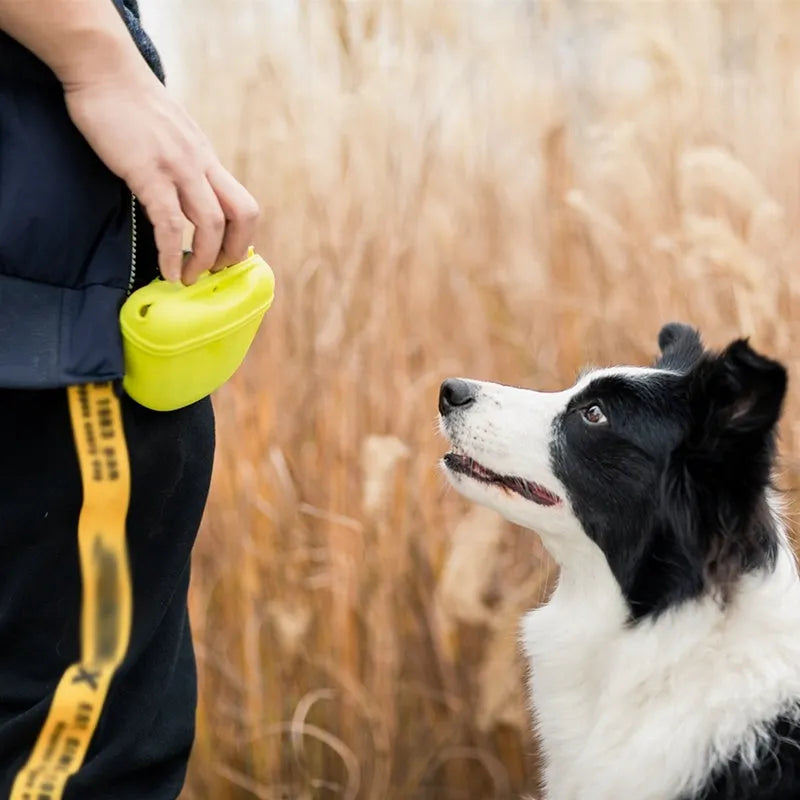 Silicone dog treat waist bag with belt clip in multiple colour options