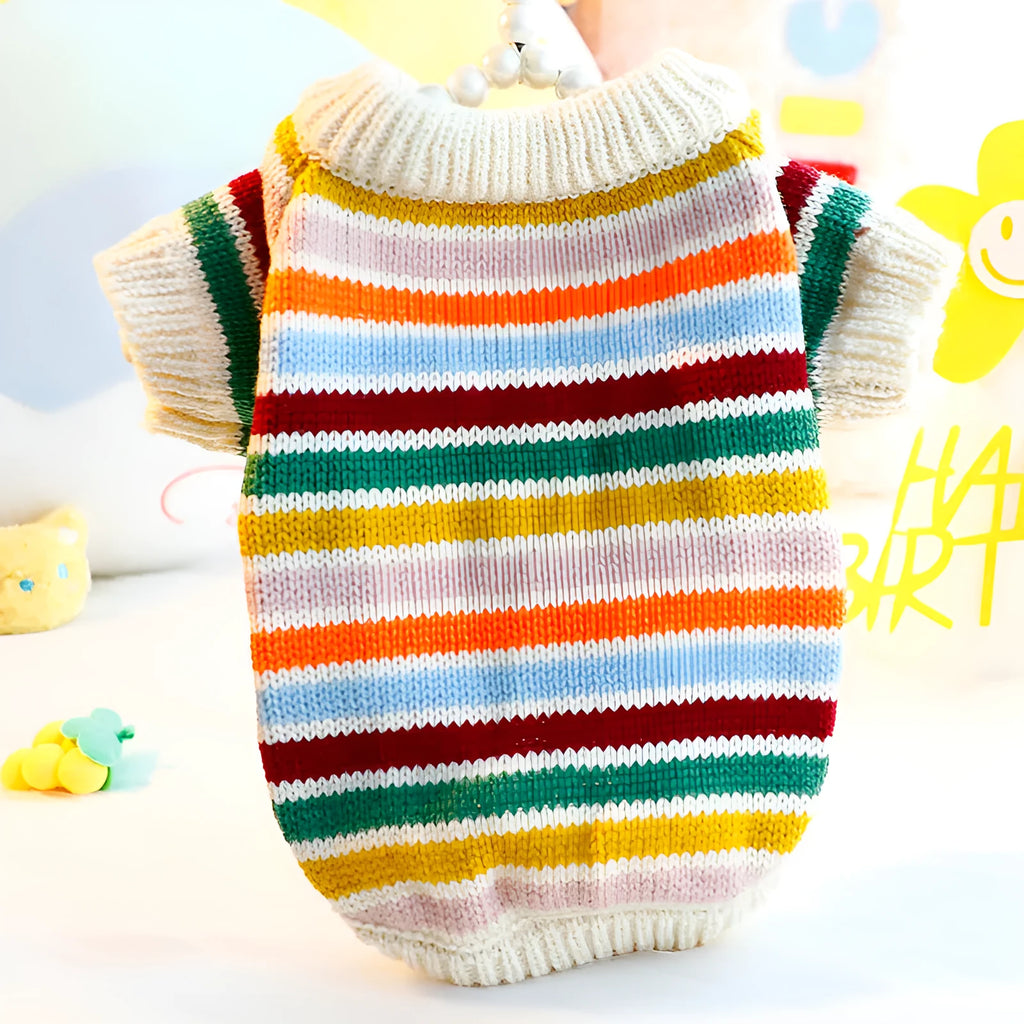 Dog wearing a casual wool knit sweater in a cute spring autumn style