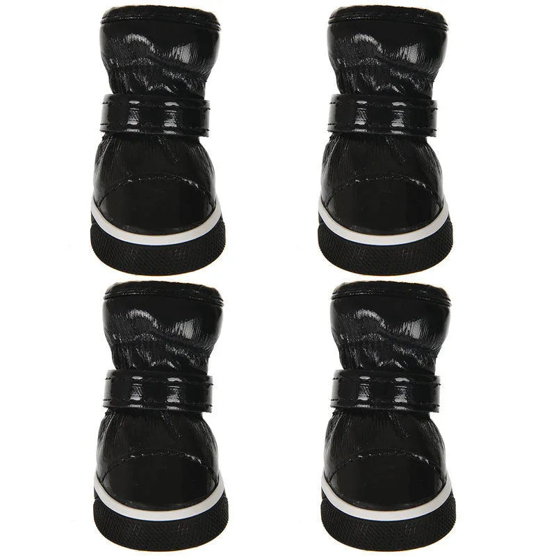 Dog cotton ski boots in four colours on a dog's paws for winter walking