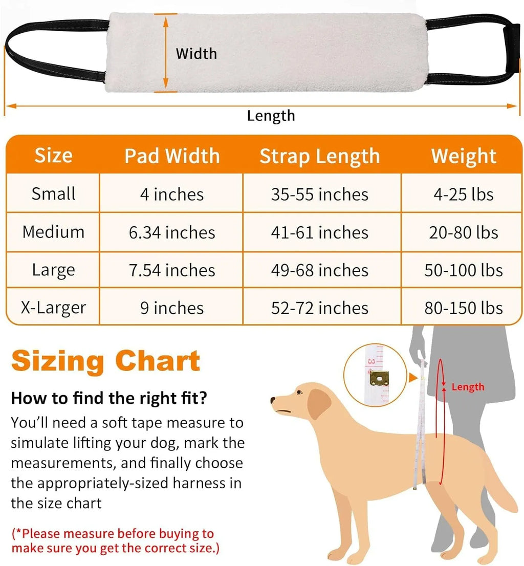 Adjustable dog sling with padded liner supporting a dog's hindquarters, showing reflective straps and a handle.