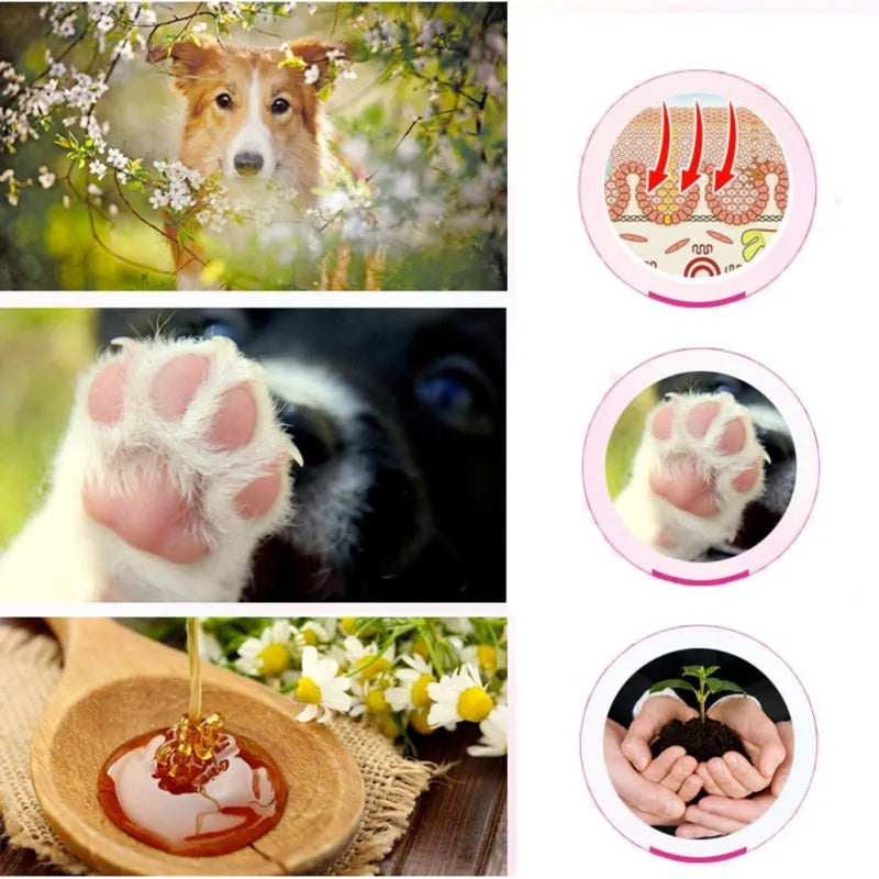 PETSTWO Pet Foot Moisturizing Cream 60g in a tube with natural propolis and oils for cats and dogs