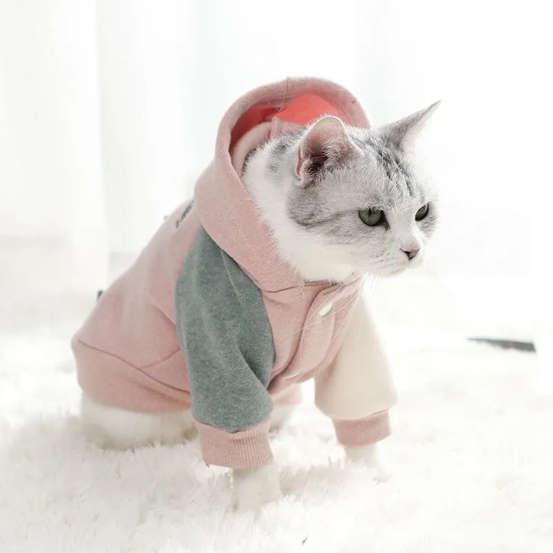 Brown cotton pet sweatshirt clothing for small dogs in various sizes