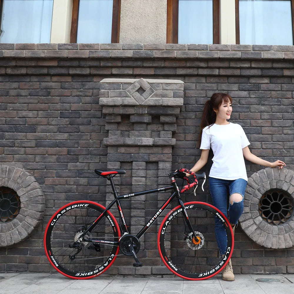 Aluminium alloy road bike 21 speed with double disc brakes in titanium silver