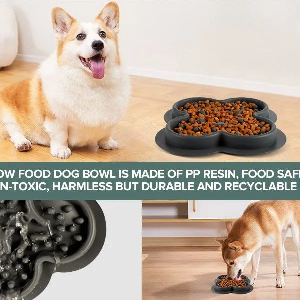 Silicone pet licking pad slow feeder mat in assorted colours on a floor