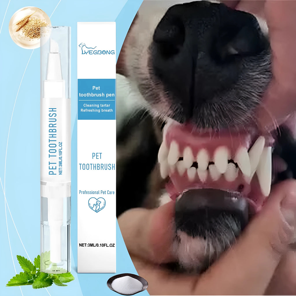 Pet toothbrush pen with soft bristle head and breath care gel for dogs and cats