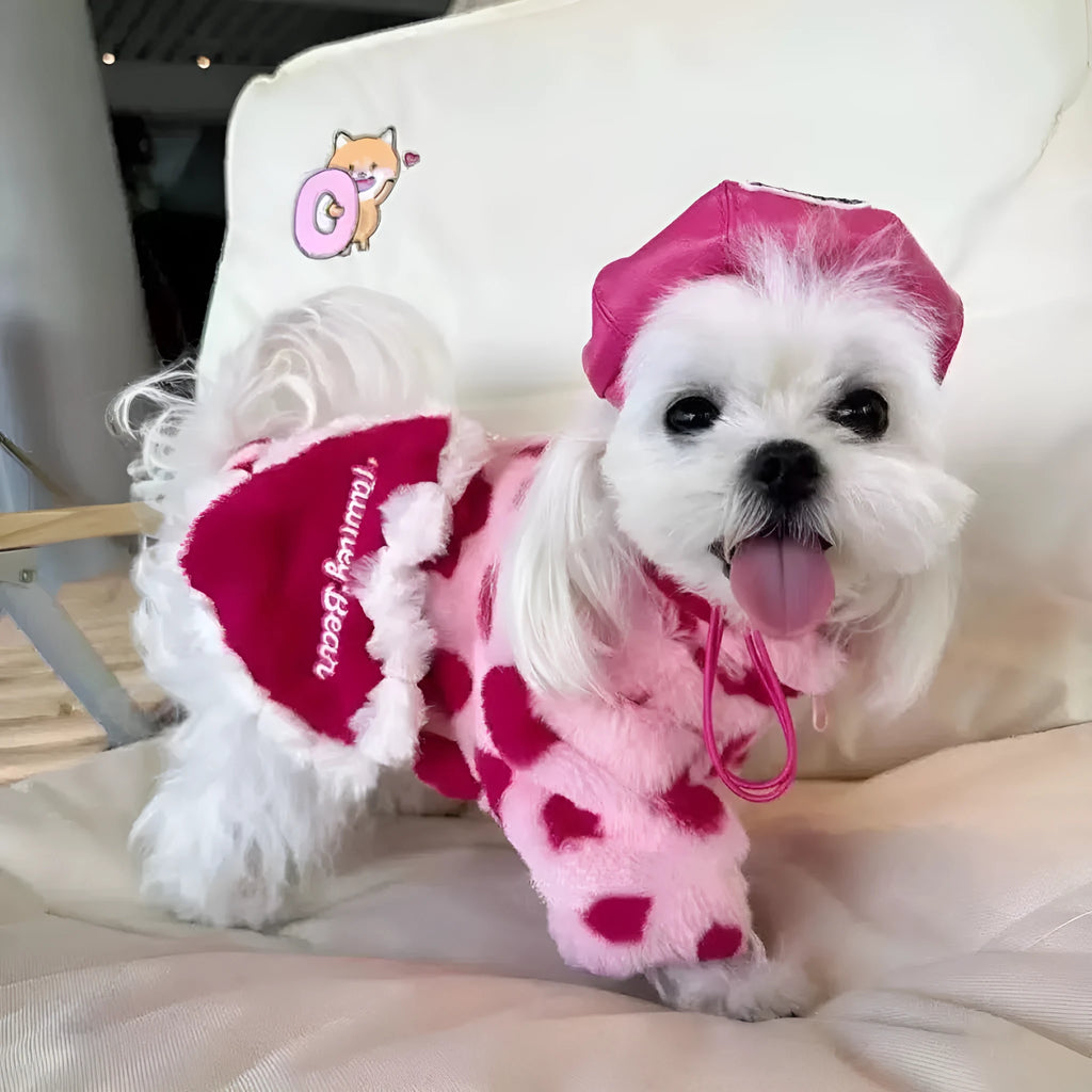 Small dog wearing a pink or brown plush warm coat in British style for Teddy and Bichon breeds