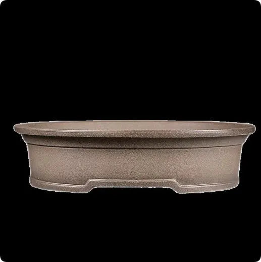 Handmade antique oval purple sand clay bonsai pot showing shallow 6.3cm height profile.