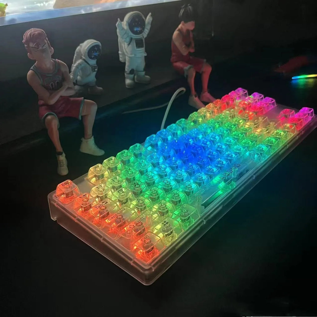 Transparent 132-key mechanical keyboard key cap set showing clear plastic construction