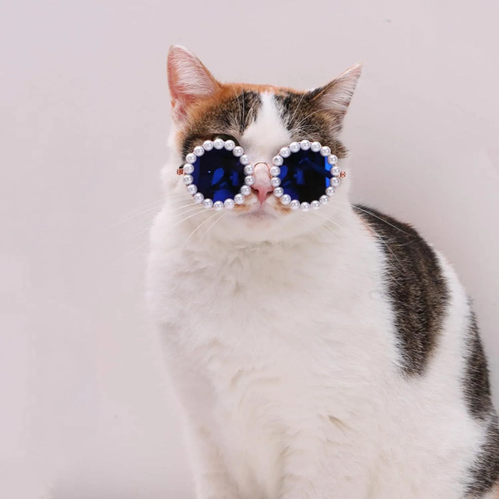 Pearl-rimmed round sunglasses on a cat or dog, shown in blue, black, coffee, orange, and purple colour options.