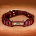 Braided cowhide leather dog collar in Dark Brown colour, with zinc alloy buckle, on a neutral background