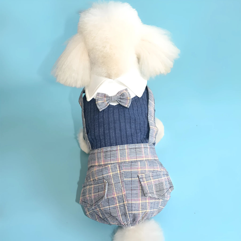Orange and dark blue woven cotton dog shirt for small breeds in S to 2XL sizes