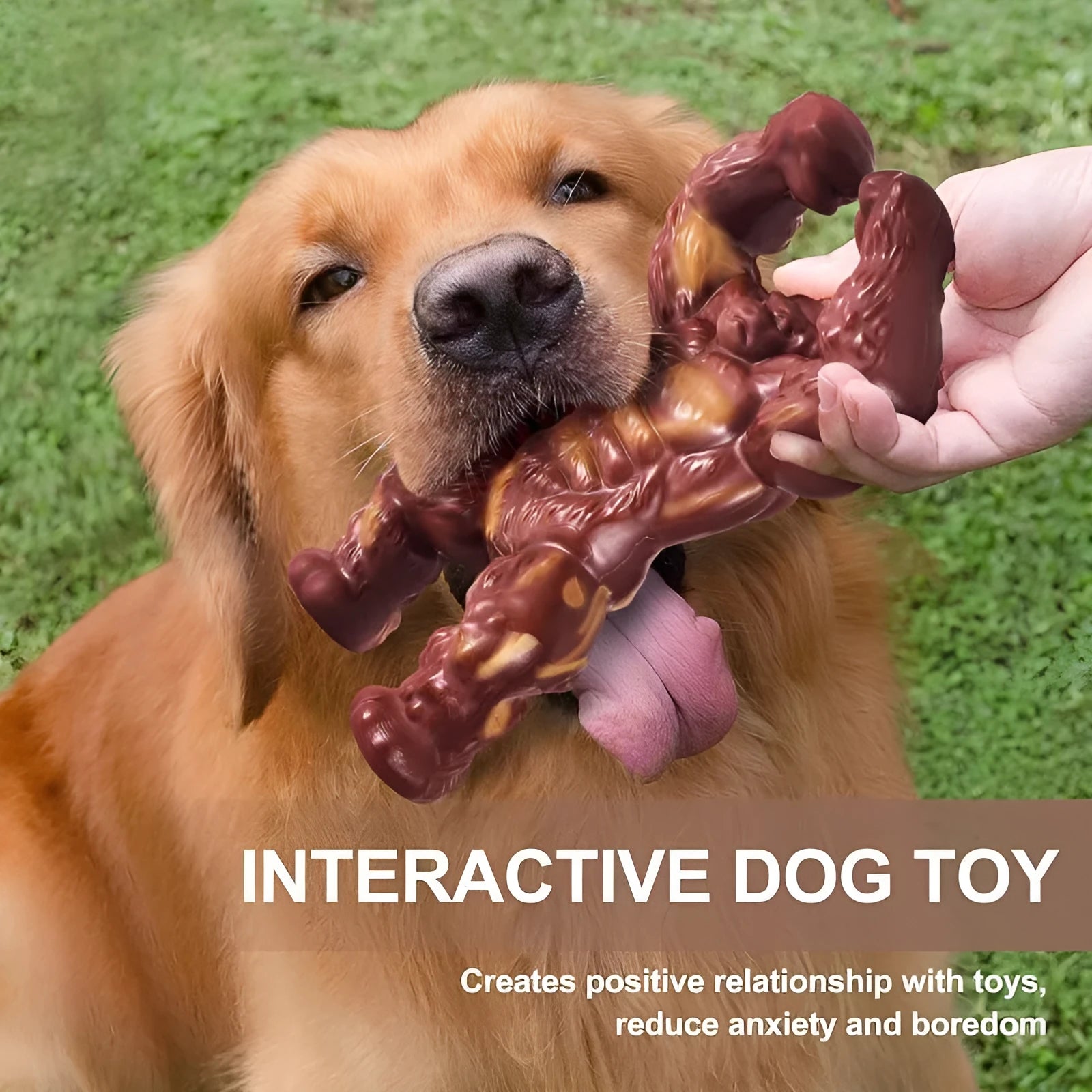 Scarlet nylon dog molar nibbling toy with beef flavour measuring 17.2cm for pet dental care