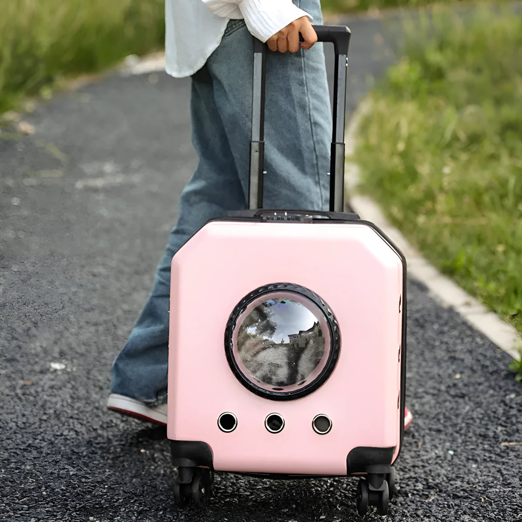 Hard-sided PVC cat flight trolley case in solid colour with wheels and airline travel design