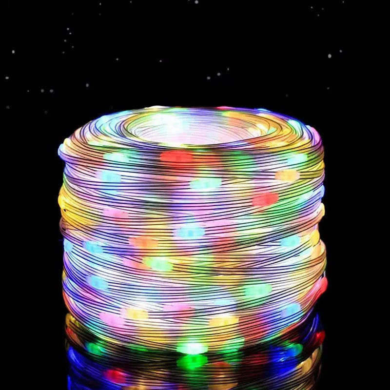 24V low voltage leather wire string light 100m 1000 LEDs with 8-function controller