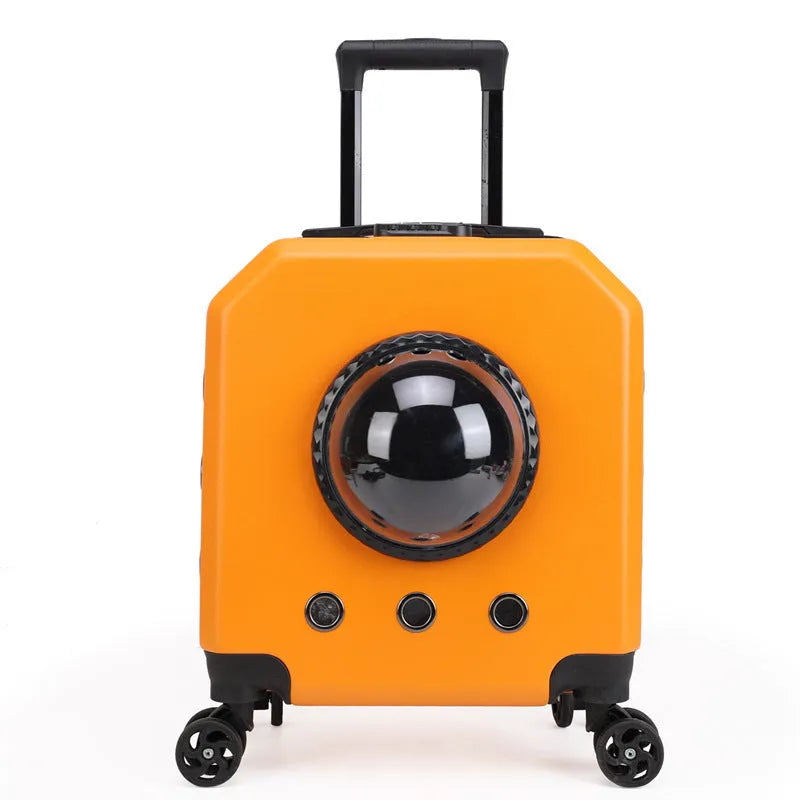 Hard-sided PVC cat flight trolley case in solid colour with wheels and airline travel design