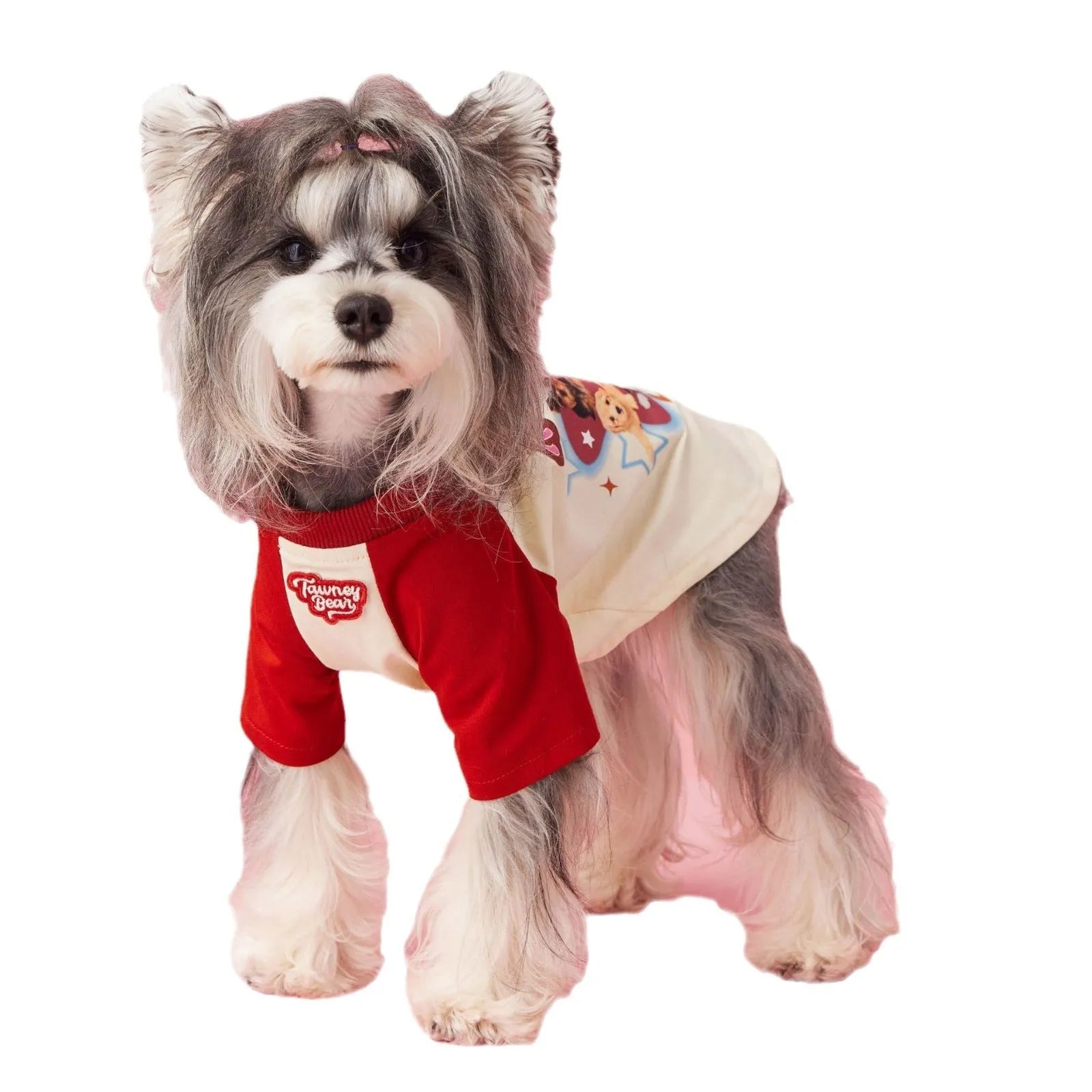 Red cotton summer dog outfit with contrast embroidery for male dogs in size L